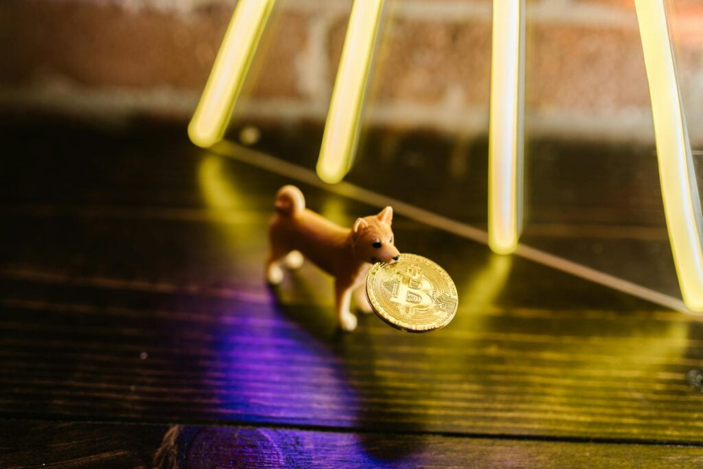 Miniature Toy Dog holding a Gold Coin on Brown Wooden Floor