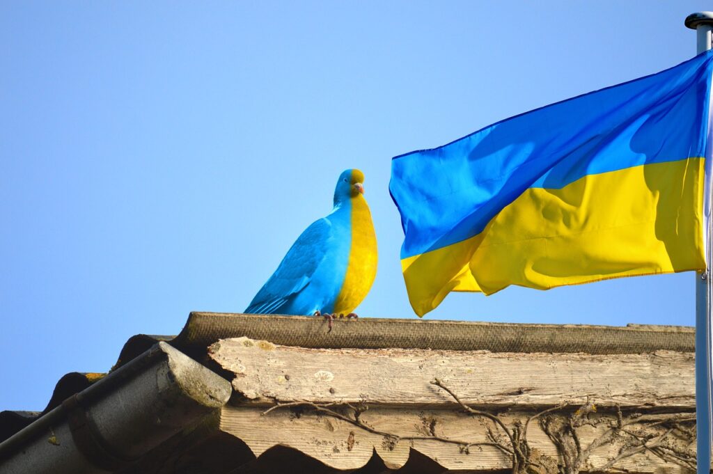 ukraine, ukrainian flag, dove