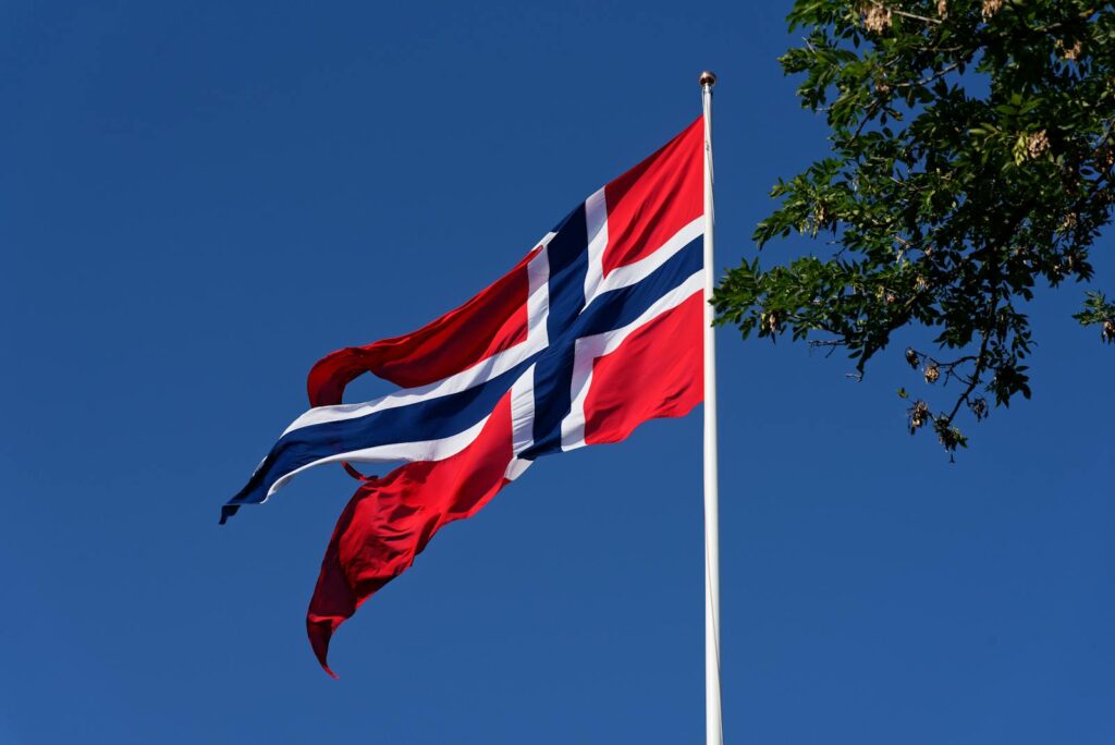 Vibrant Norwegian flag waving on a clear day with tree branch in view.