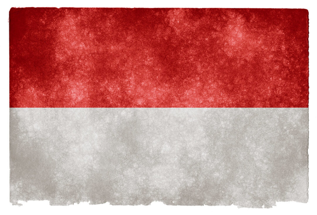 Indonesia Grunge Flag